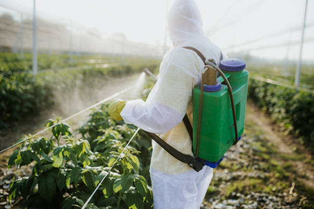 Best Cockroach Control Services  in Shenandoah Farms, VA